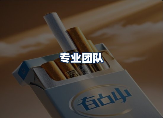 专业团队
